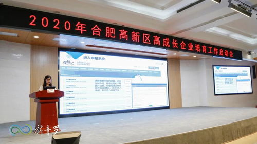 新青罗受邀见证合肥高新区2020年高成长企业培育计划启动